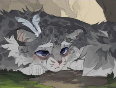 Un ancien guérisseur du Clan du Tonnerre assailli par les visions du Clan des Étoiles et considéré comme fou par son clan :