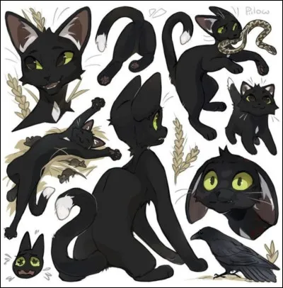 Un solitaire ancien apprenti du Clan du Tonnerre, il est mort au Clan du Ciel et a choisi de ne pas faire partie du Clan des Étoiles :