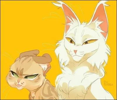 Un vétéran du Clan du Tonnerre lieutenant mais jamais chef qui na pas eu loccasion de voir le nouveau territoire :