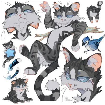 Un guérisseur grincheux et aveugle du Clan du Tonnerre qui fait partie dune prophétie :