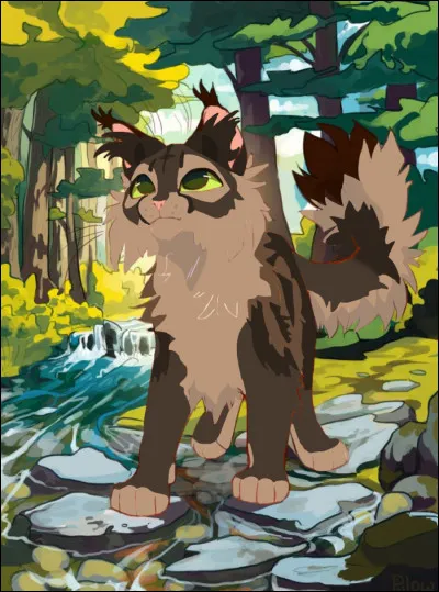 Un chef qui a donné huit de ses vies pour le Clan du Tonnerre mais qui a choisi de devenir un chat domestique :