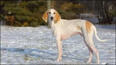 Quelle ville française est réputée pour sa "porcelaine" ?