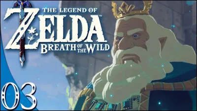 Trouve la bonne orthographe des mots manquants : 
"Dans, Breath of the Wild, le Roi se nomme ___ _______ __.