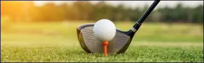 Parmi les clubs de golfs, quel est l'usage des bois en général ?