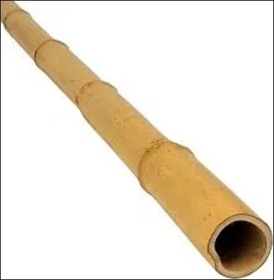 Que signifie l'expression familière "coup de bambou" ?