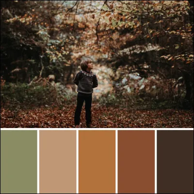 Quelle couleur préfères-tu entre celles proposées ?