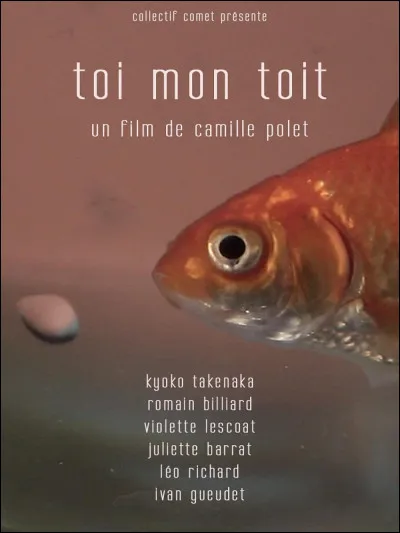 "Toi mon toit" est une chanson interprétée par...