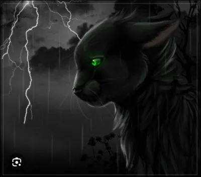 Qui voulait r&eacute;v&eacute;ler le secret de Feuille de Houx ?