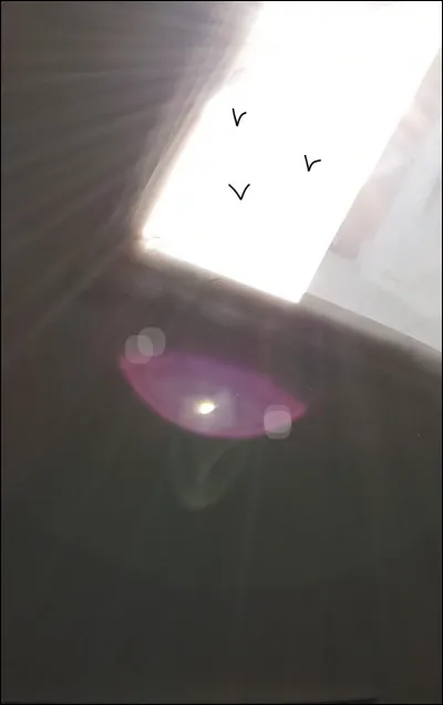 Dans ta famille, tu es plutôt