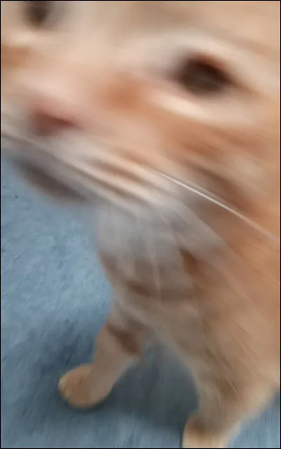 Dans la vie, quest‑ce qui test indispensable ?