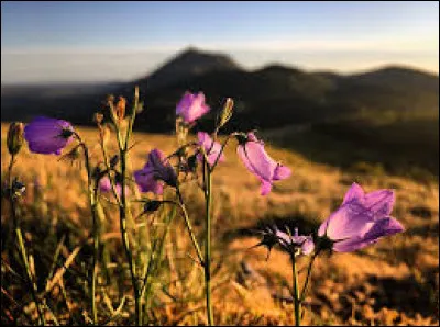Quel numéro est associé à ce département ?