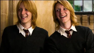 Quel est son physique ?