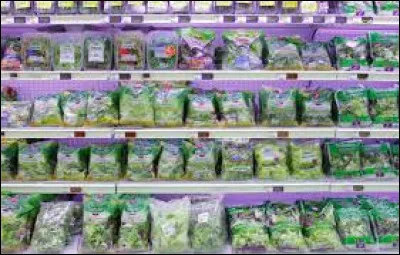 Familièrement, que signifie "vendre sa salade" ?