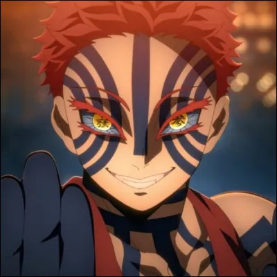 Dans la Forteresse Infinie, qui se retrouve face à Akaza ?