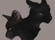 Quiz Plume de Jais, Pelage de Brume ou les 2 ?