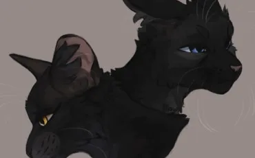 Quiz Litt�rature, po�sie