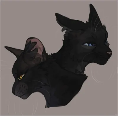 Qui a eu une fr&eacute;quentation avec un autre clan ?