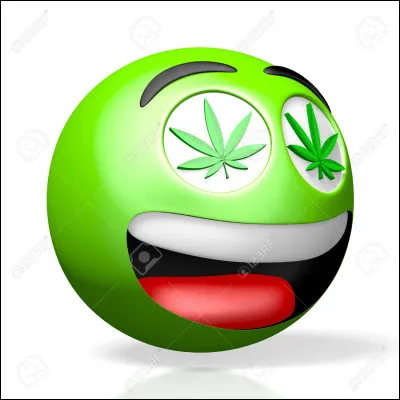 Choisis l�&eacute;moji qui te correspond le mieux : (1)