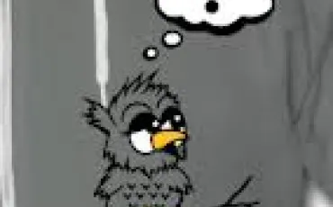 Quiz Culture g�n�rale