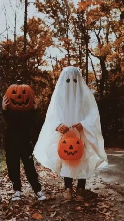 Salut ! Tu es prêt/prête à prendre ton courage à deux mains ? On y va, cest parti !
Première question : 
Fêtes-tu Halloween ?