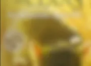 Quiz LGDC - Trouve le livre