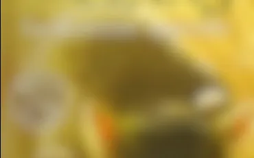 Quiz Litt�rature, po�sie