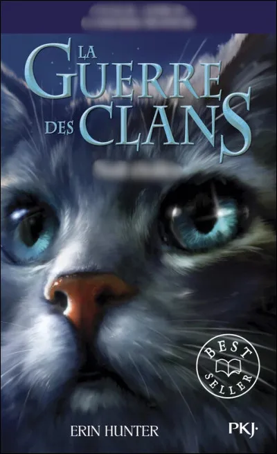 Quel est ce livre ? (Image) - Difficile