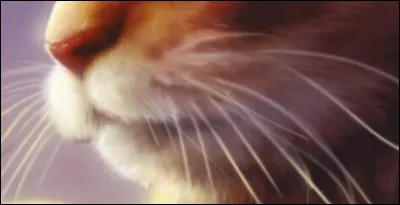 De quel livre provient cette partie d'image ? - Facile