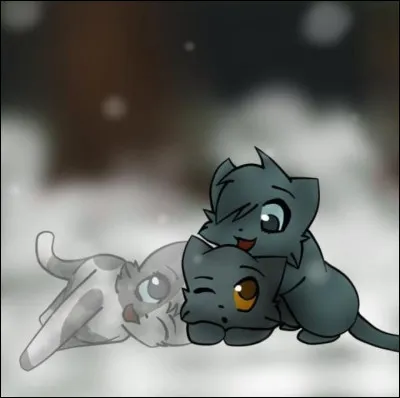 Tu es un chaton et tu t'ennuies, que vas-tu faire ?