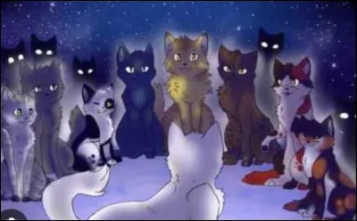 Un jour tes parents te demandent ce que tu veux être quand tu seras plus grande ? Que réponds-tu ?