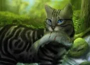 Quiz Connais tu bien Rivire dArgent ? LGDC