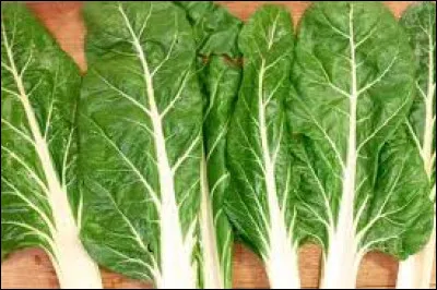 Ce légume sur la photo s'appelle :