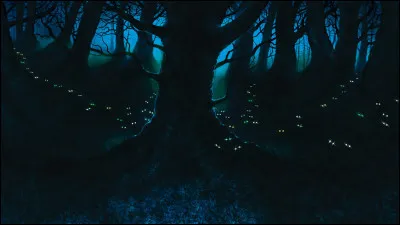 Qu'est-ce que ce lieu ?