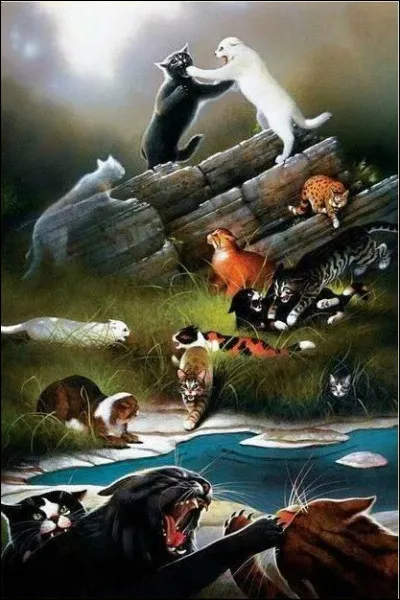 Qu'est-ce que ce lieu ?