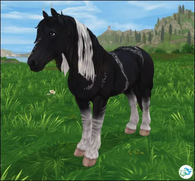 Comment s'appelle ce cheval ?