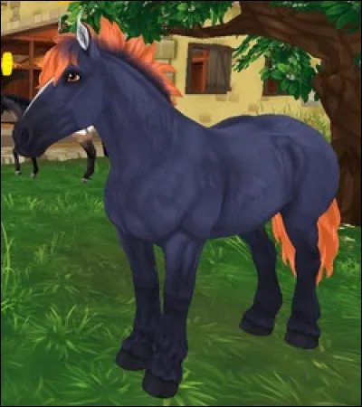 Comment s'appelle ce cheval ?