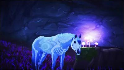 Comment s'appelle ce cheval ?