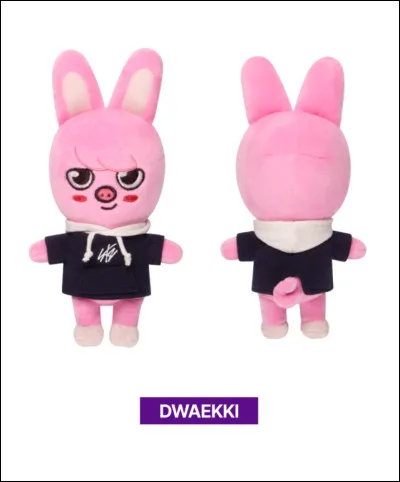 À qui appartient ce Skzoo ?