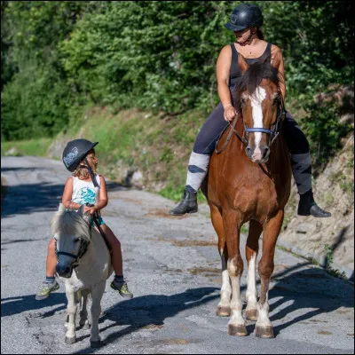 Quelle est la taille qui détermine un poney ?