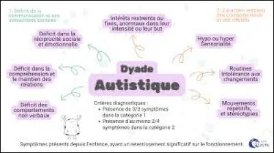 Quel nom est parfois donné à l'autisme sans déficience intellectuelle ni aucun retard de langage ?