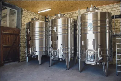 Qu'appelle-t-on "pigeage" lors de la vinification ?