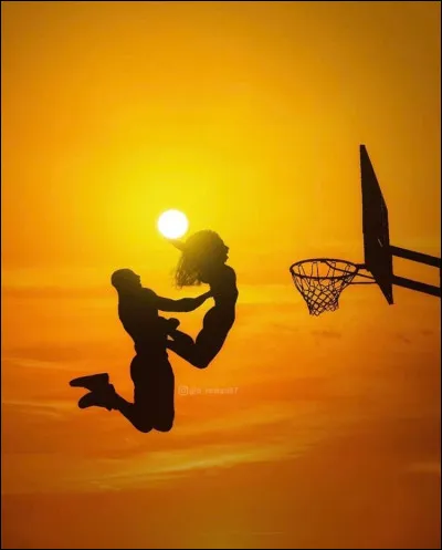 A quelle hauteur sont placés les paniers de basket pour les adultes ?