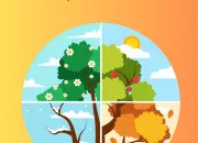 Test Es-tu plutt automne, t, hiver ou printemps ?