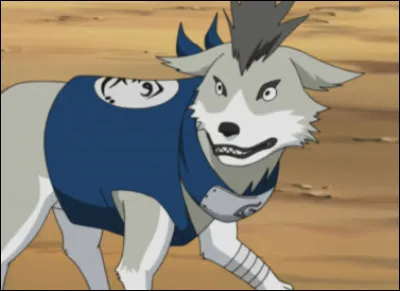 Comme s'appelle le chien de Kiba ?