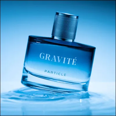 Qui a découvert la loi de la gravitation universelle ?