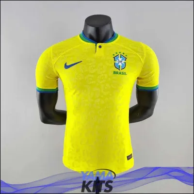 Quelle est la langue officielle du Brésil ?