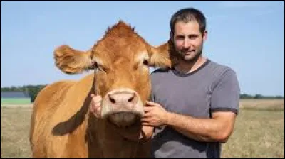 Quel était le nom de la vache égérie du salon de l'agriculture 2025 ?