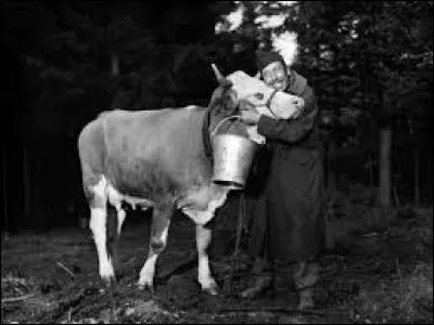 Dans le film "La Vache et le Prisonnier", qui partage l'affiche avec la vache ?