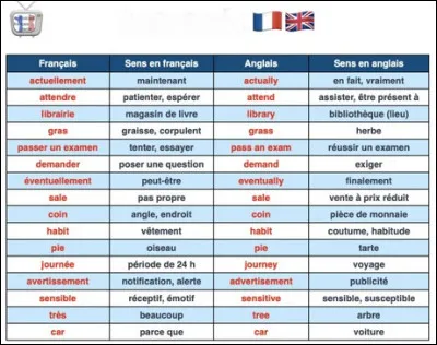 Comment se nomment ces mots qui ressemblent à des mots dans une autre langue, mais qui ont des significations différentes ?