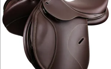 Quiz Chevaux